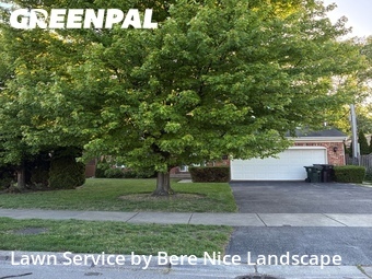 Lawn Cutin Skokie,60077,Yard Mowing by Bere Nice Landscape, work completed in Jul , 2026
