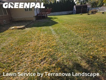 Yard Mowing in Darien, 60561, Landscaping Maintenance by Terranova Landscape, work completed in Nov , 2025