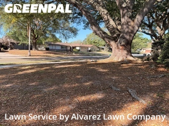 Lawn Servicein Winter Park,32792,Lawn Mow by Alvarez Lawn Company, work completed in Jun , 2026