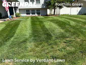 Lawn Mowing nearby Fort Collins, CO, 