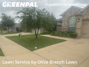 Grass Cut nearby Fort Worth, TX, 