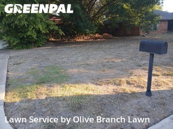 Lawn Mowingin Keller,76248,Lawn Cut by Olive Branch Lawn, work completed in Nov , 2025