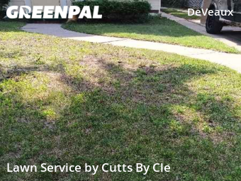 Yard Cutting nearby Toledo, OH, 