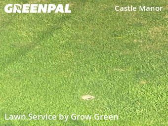 Grass Cut nearby Milwaukee, WI, 