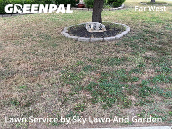 Grass Cut nearby San Antonio, TX, 