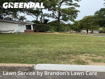 Yard Cutting nearby Saint Louis, MO, 