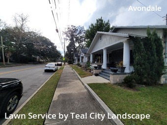 Lawn Cuttingin Jacksonville,32205,Grass Cutting by Teal City Landscape , work completed in Feb , 2026