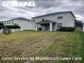 Lawn Mow nearby Tampa, FL, 