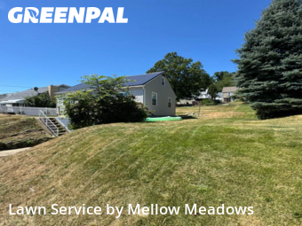 Lawn Mowing Service nearby Beaver, PA, 