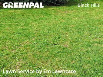 Lawn Maintenance nearby Grand Rapids, MI, 