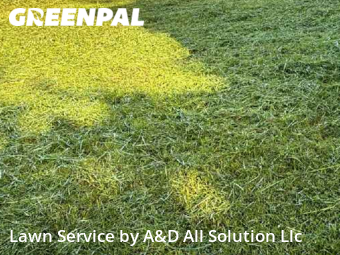 Lawn Mowing nearby Kissimmee, FL, 