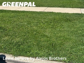 Lawn mowed in Burbank, 60459