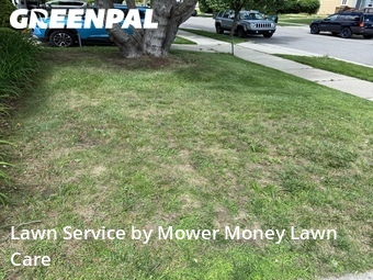 Lawn Maintenance nearby Ferndale, MI, 