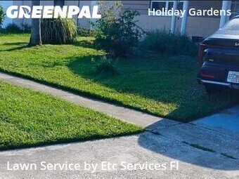 Grass Cutting nearby Holiday, FL, 