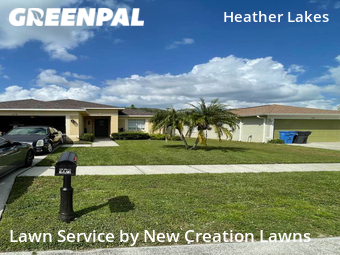 Lawn Cut nearby Brandon, FL, 