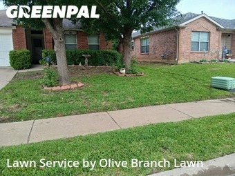 Grass Cutting nearby Blue Mound, TX, 
