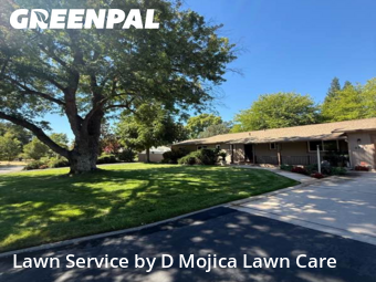 affordable-grass-cutting-businesses-in-Roseville-CA