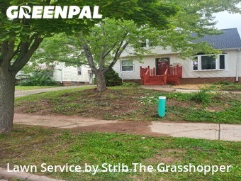 Lawn Maintenance nearby Garfield Heights, OH, 