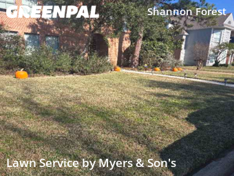 Lawn Cuttingin Spring,77379,Lawn Service by Myers & Son's, work completed in Feb , 2026