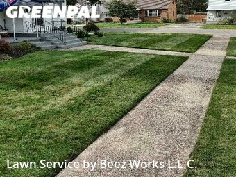 Lawn Cut nearby Cheektowaga, NY, 