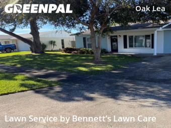 Grass Cut nearby South Daytona, FL, 