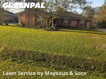 Grass Cut nearby Baton Rouge, LA, 