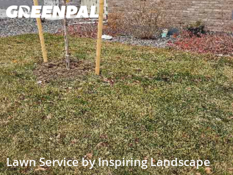 Lawn Cuttingin Aurora,80016,Lawn Mowing by Inspiring Landscape, work completed in Dec , 2025