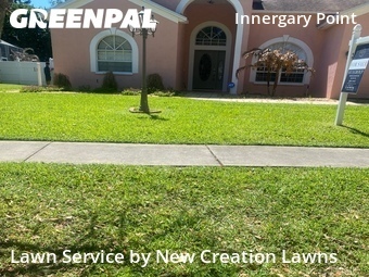 Grass Cutting nearby Valrico, FL, 