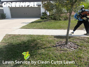 Grass Cut nearby Riverview, FL, 