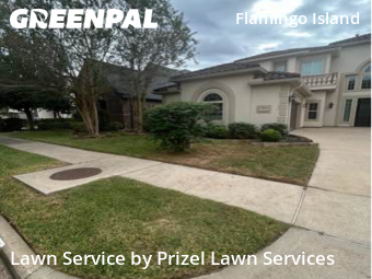 Yard Cuttingin Missouri City,77459,Lawn Mowing by Prizel Lawn Services, work completed in Dec , 2025