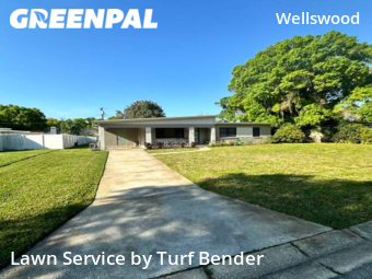 Lawn Care Service nearby Tampa, FL, 