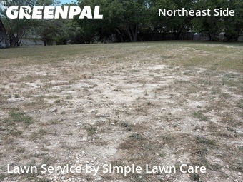 Lawn Care nearby Live Oak, TX, 