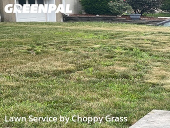 Lawn mowing work completed in Lodi, CA