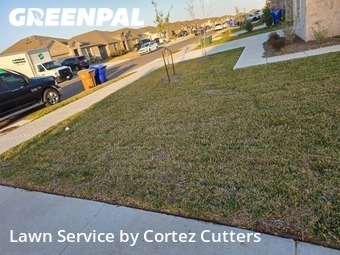 Lawn Maintenance nearby Corpus Christi, TX, 