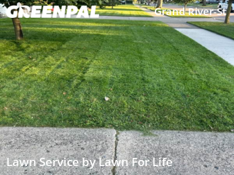 Lawn Care Service nearby Detroit, MI, 