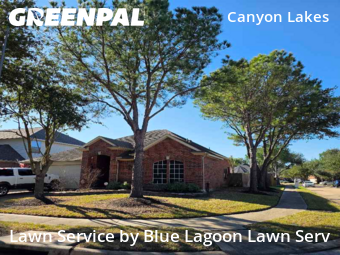 Lawn Cutin Houston,77095,Grass Cutting by Blue Lagoon Lawn Serv, work completed in Jan , 2026