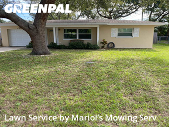 Yard Cutting nearby Largo, FL, 