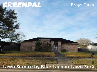 Lawn Cutin Houston,77031,Yard Mowing by Blue Lagoon Lawn Serv, work completed in Feb , 2026
