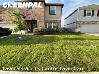 Yard Cutting nearby San Antonio, TX, 
