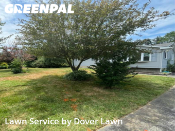 Lawn Service nearby Dover, DE, 