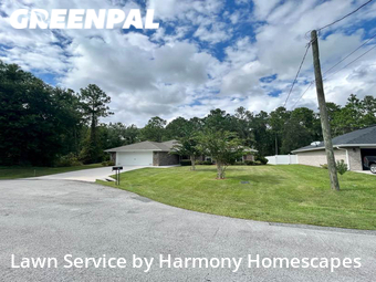 Grass Cut nearby Palm Coast, FL, 