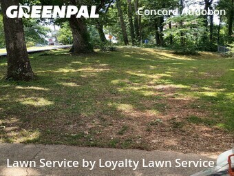 Lawn Maintenance nearby Chattanooga, TN, 