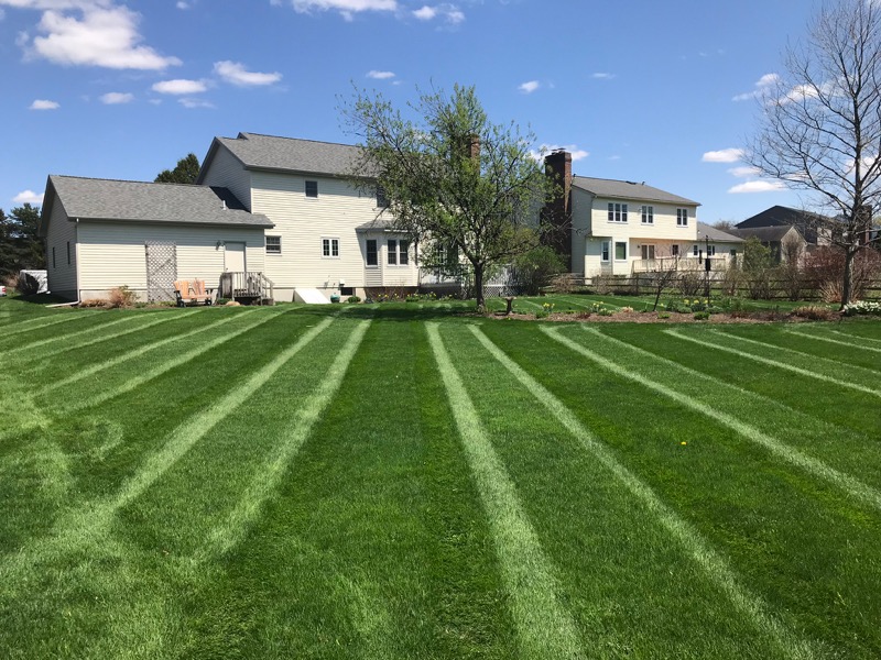 lawn-maintenance-in-Syracuse-NY