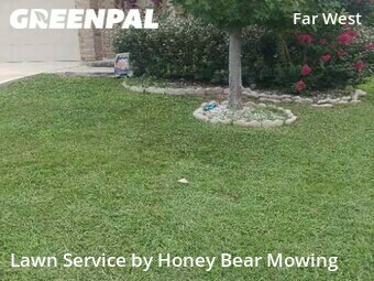 Grass Cut nearby San Antonio, TX, 