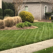 local-lawn-care-services-in-Chattanooga-TN