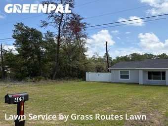 Yard Mowing nearby Ocklawaha, FL, 