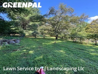 Yard Cutting nearby Media, DE, 