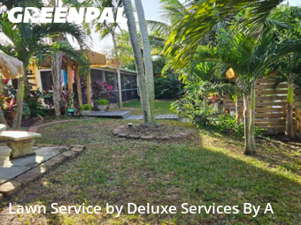 Yard Grooming in Tamarac, 33321, Yard Cutting by Deluxe Services By A, work completed in Nov , 2025