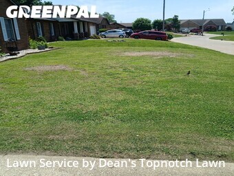 Yard Cutting nearby Granite City, IL, 