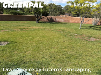 Grass Cutting nearby Los Ranchos De Albuquerque, NM, 